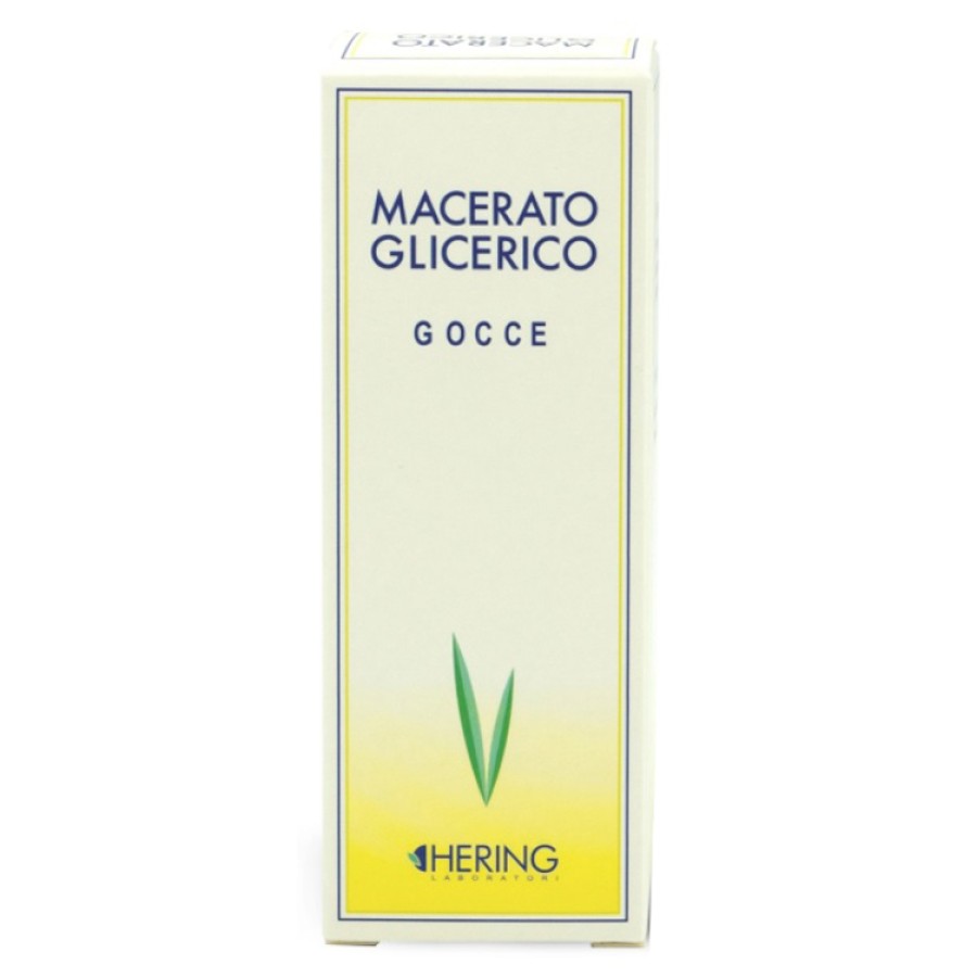 TILIA TOMENTOSA GEMME MACERATO GLICERICO 60 ML