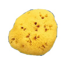 SPUGNA NAT FORI L 8/9CM 5