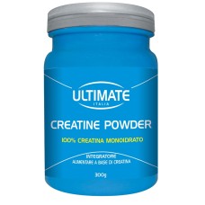CREATINA POWDER 300 G 1 PEZZO