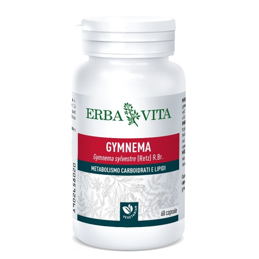 GYMNEMA SYLVESTRE 60 CAPSULE 350 MG