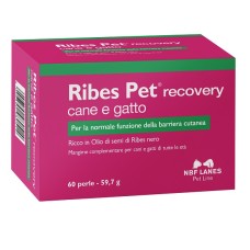 RIBES PET RECOVERY BLISTER 60 PERLE