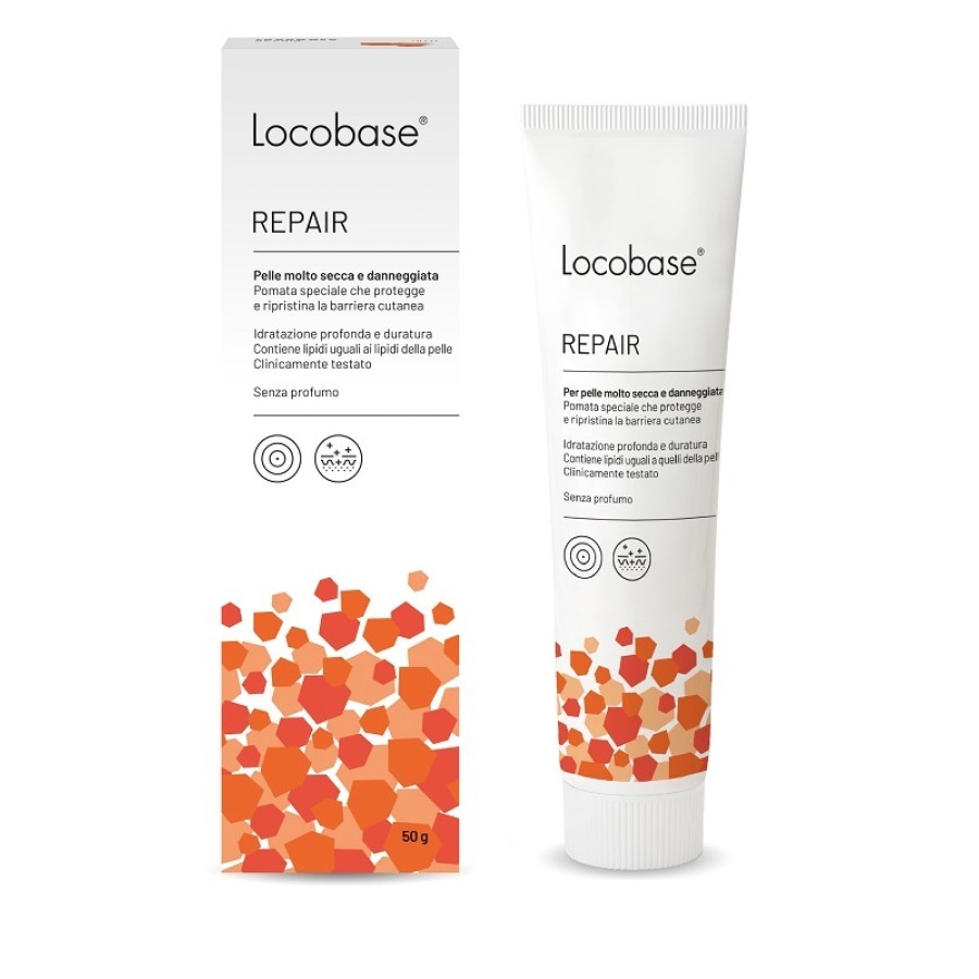 LOCOBASE REPAIR 50 G LOCOBASE REPAIR 50 G