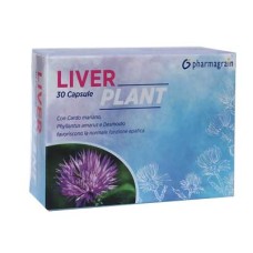 LIVER PLANT 30 CAPSULE