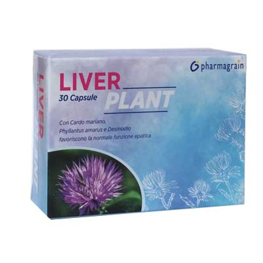 LIVER PLANT 30 CAPSULE LIVER PLANT 30 CAPSULE