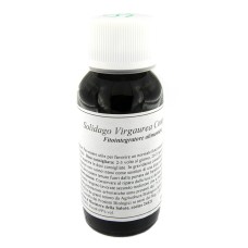 LVS 07N SOLIDAGO VIRGAUREA COMPOSITUM