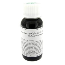 LVS 11N COCHLEARIA OFFICINALIS COMPOSITUM