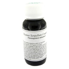 LVS 21N THYMUS SERPYLLUM COMPOSITUM