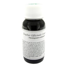 LVS 64N ZINGIBER OFFICINALIS COMPOSITUM