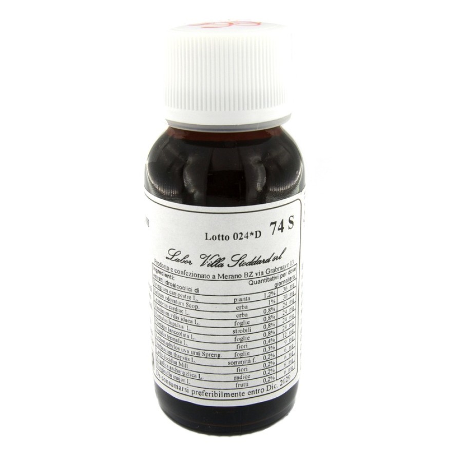 LVS 74S ERYNGIUM CAMPESTRE COMPOSITUM