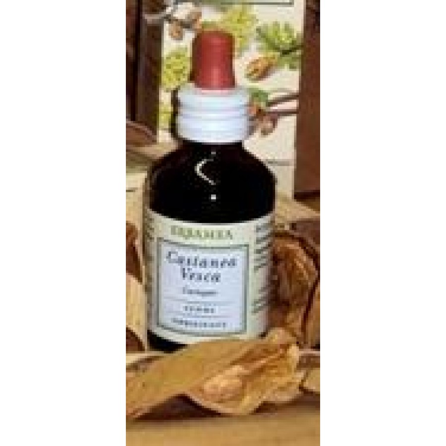 CASTANEA VESCA GEMME GEMMODERIVATO BIO 50 ML