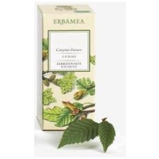 RIBES NIGRUM GEMME GEMMODERIVATO BIO 50 ML