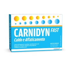 CARNIDYN FAST MAGNESIO/POTASSIO 20 BUSTINE