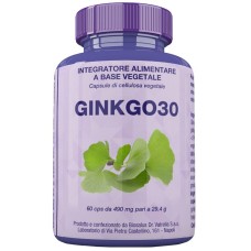 GINKGO30 60 CAPSULE 27 G