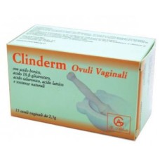 CLINDERM 15 OVULI VAGINALI 2,5 G