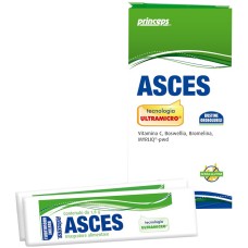 ASCES 10 BUSTE