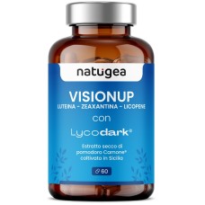 VISIONUP 60 COMPRESSE