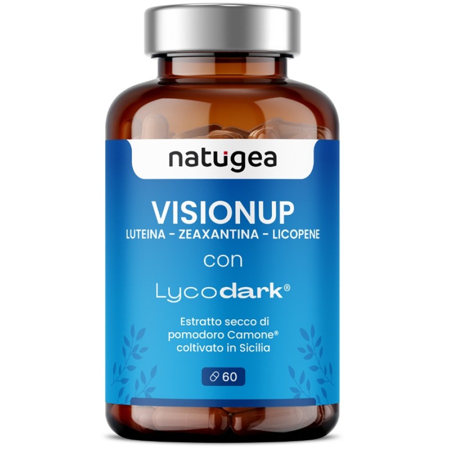 VISIONUP 60 COMPRESSE