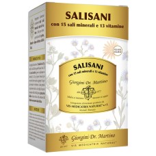 SALISANI POLVERE SOLUBILE 360 G