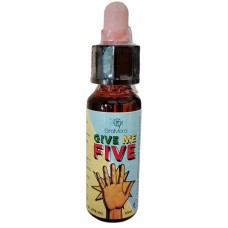 GIVE ME FIVE 10 ML SOLUZIONE IDROALCOLICA FLOREALE