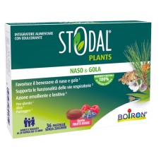 STODAL PLANTS FRUTTI RO 36PAST
