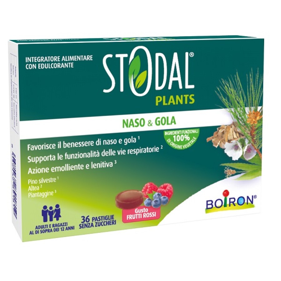 STODAL PLANTS FRUTTI RO 36PAST