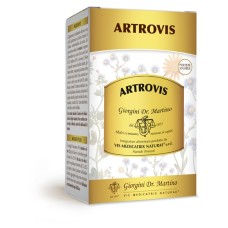 ARTROVIS POLVERE SOLUBILE 360 G