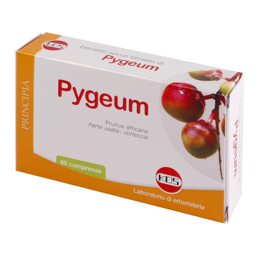 PYGEUM ESTRATTO SECCO 60 COMPRESSE PYGEUM ESTRATTO SECCO 60 COMPRESSE