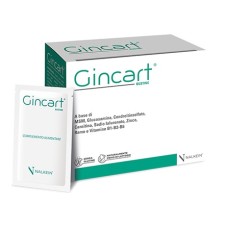 GINCART 18 BUSTINE