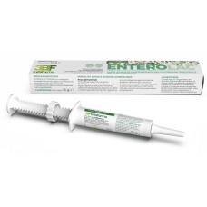 ENTEROLAC PASTA SIRINGA 15 G