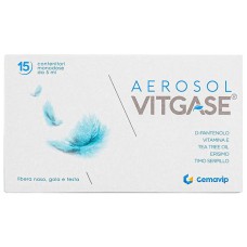 VITGASE AEROSOL 15 FLACONCINI 25 ML