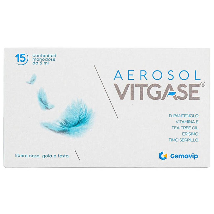 VITGASE AEROSOL 15 FLACONCINI 25 ML