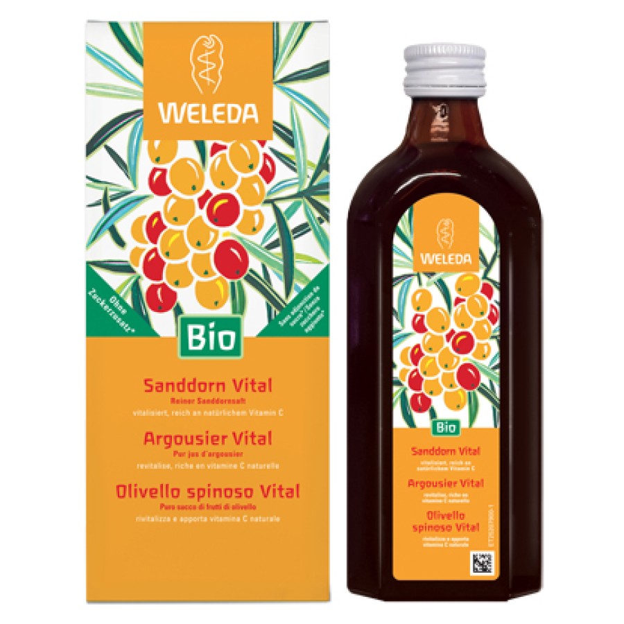 OLIVELLO SPINOSO VITAL SUCCO DI FRUTTA 250 ML