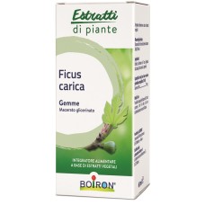 FICUS CARICA GEMME MACERATO GLICERINATO 60 ML INT