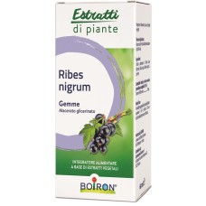 RIBES NIGRUM MACERATO GLICERICO 60 ML INT
