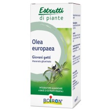 OLEA EUROPAEA MACERATO GLICERICO 60 ML INT