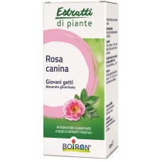 ROSA CANINA MACERATO GLICERICO 60 ML INT