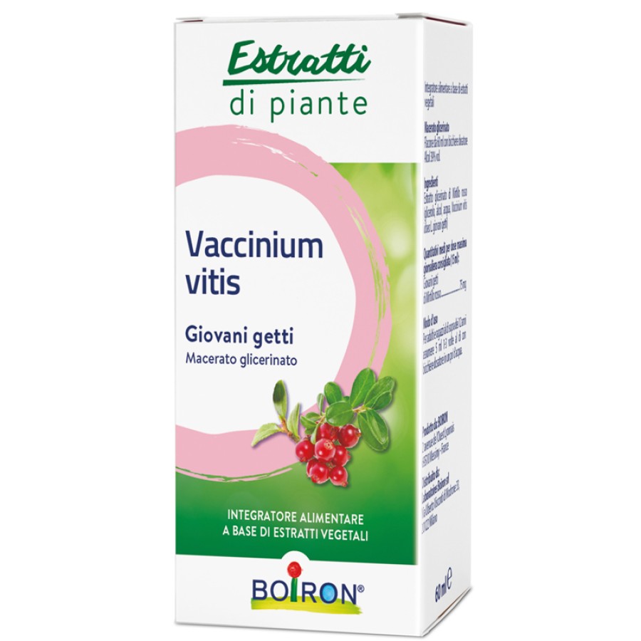 VACCINIUM VITIS MACERATO GLICERICO 60 ML INT
