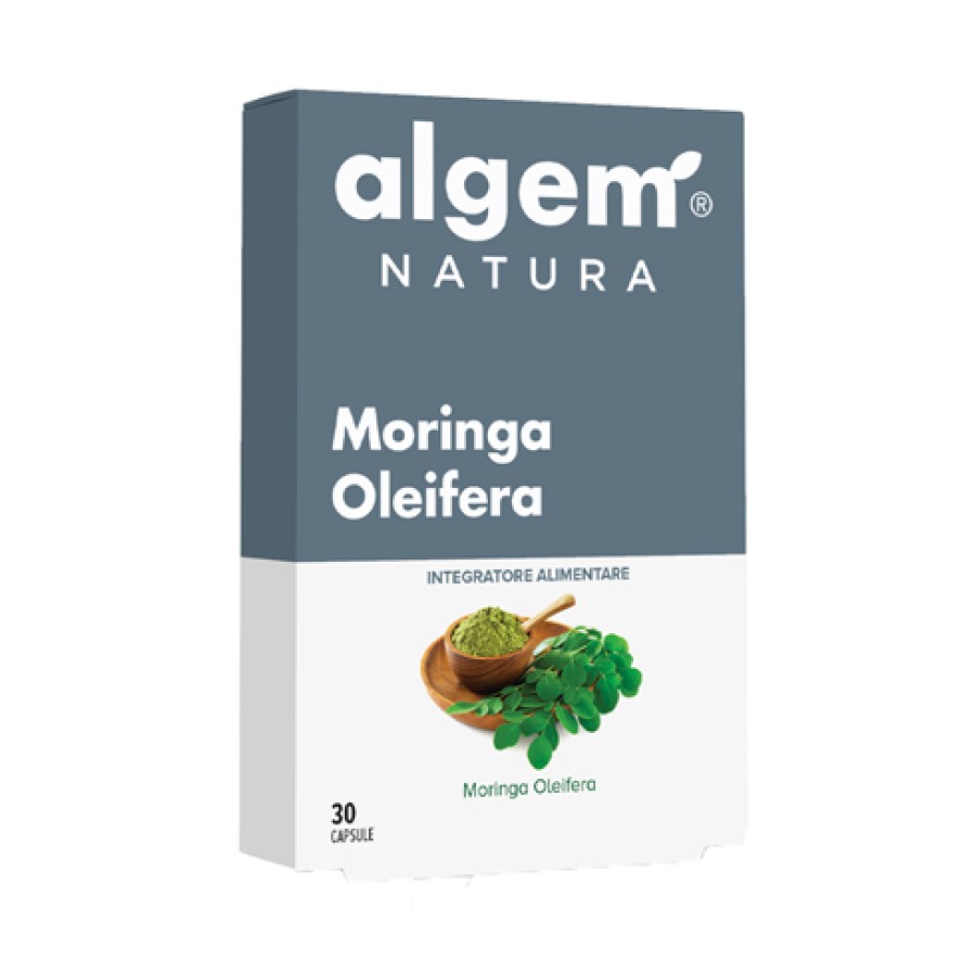 MORINGA OLEIFERA 30 CAPSULE MORINGA OLEIFERA 30 CAPSULE