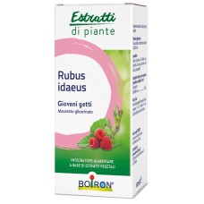 RUBUS IDAEUS GIOVANI GETTI ESTRATTO IDROALCOLICO 60 ML