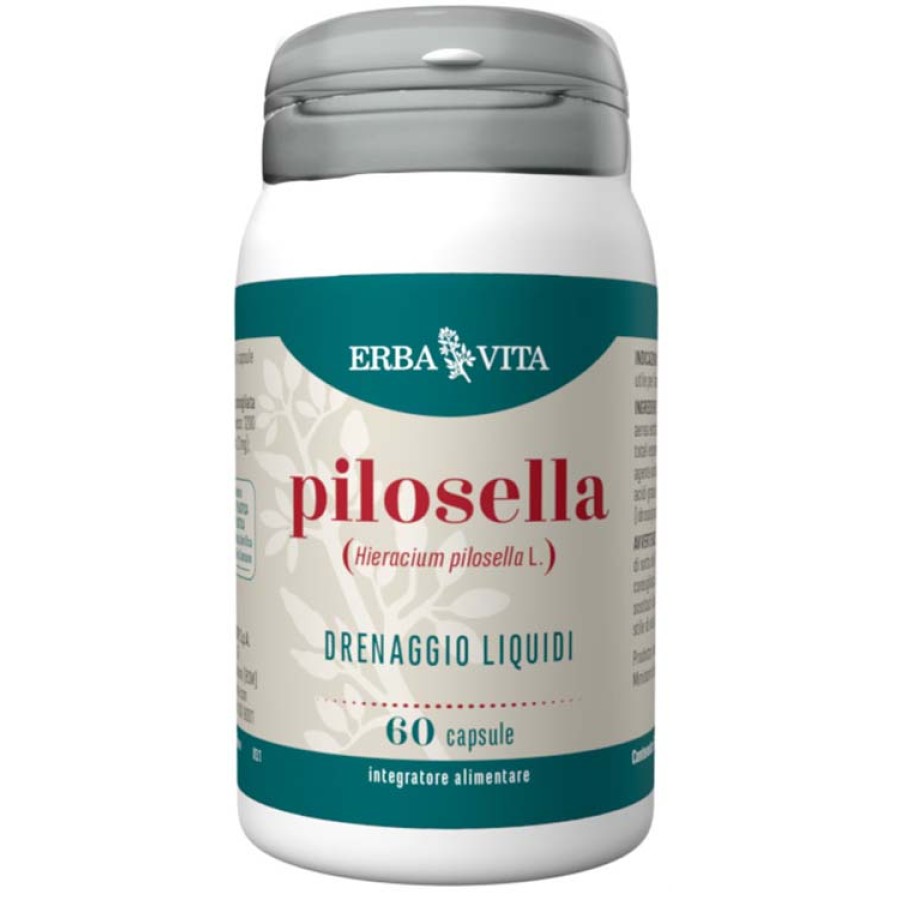 PILOSELLA 60 CAPSULE PILOSELLA 60 CAPSULE