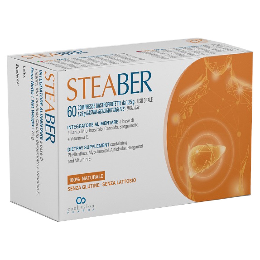 STEABER 60 COMPRESSE GASTROPROTETTE