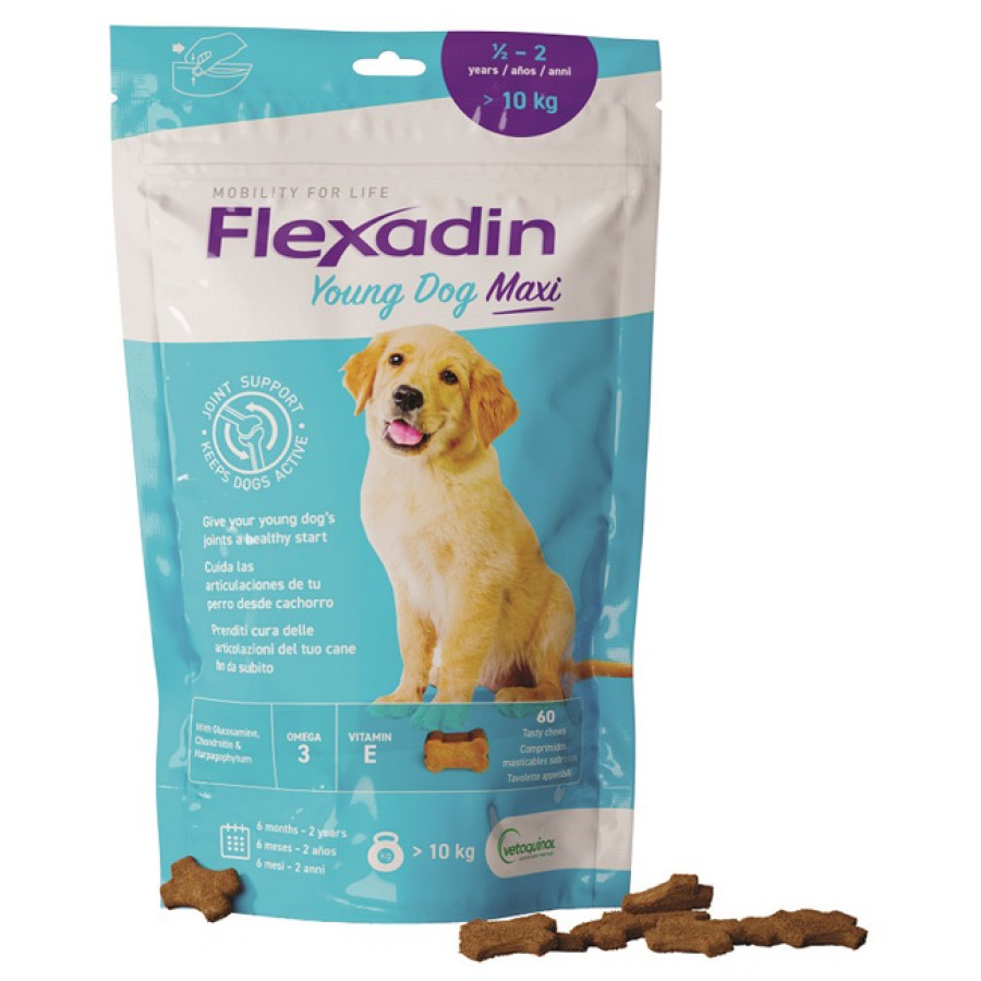 FLEXADIN YOUNG MAXI 60 TAVOLETTE APPETIBILI