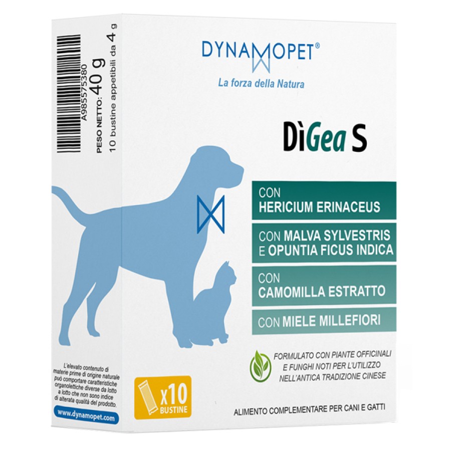 DIGEA S 10 BUSTINE DA 4 G