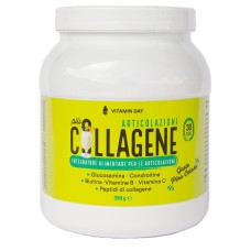 VITAMIN DAY COLLAGENE ARTICOLAZIONI 390 G