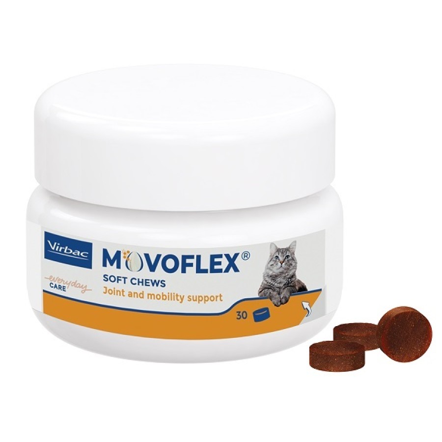 MOVOFLEX GATTO 30 COMPRESSE MASTICABILI MOVOFLEX GATTO 30 COMPRESSE MASTICABILI