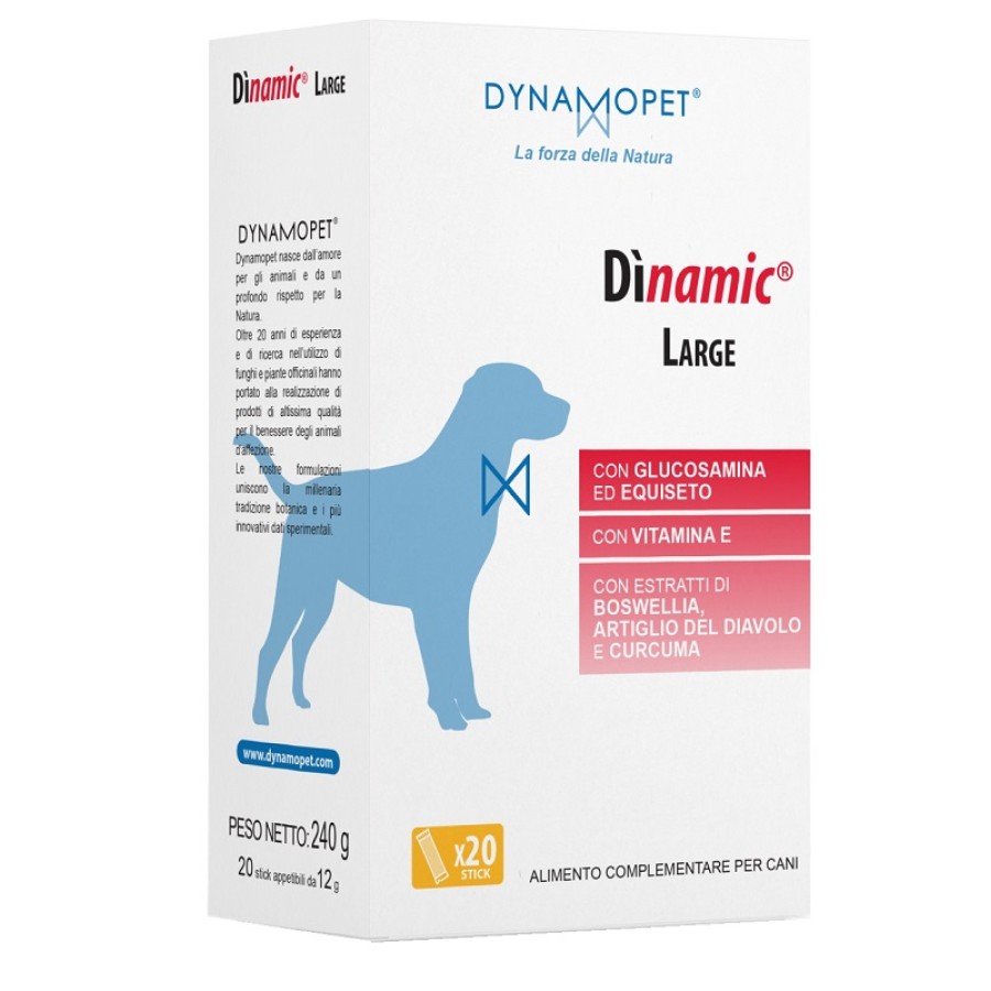 DINAMIC LARGE 20 STICK DA 12 G