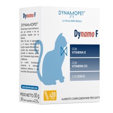 DYNAMO F 20 STICK DA 2,5 G