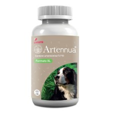 ARTENNUA XL 30 COMPRESSE