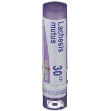 LACHESIS MUTUS 30CH GR