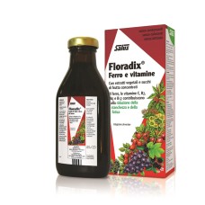 FLORADIX FERRO E VITAMINE 250 ML